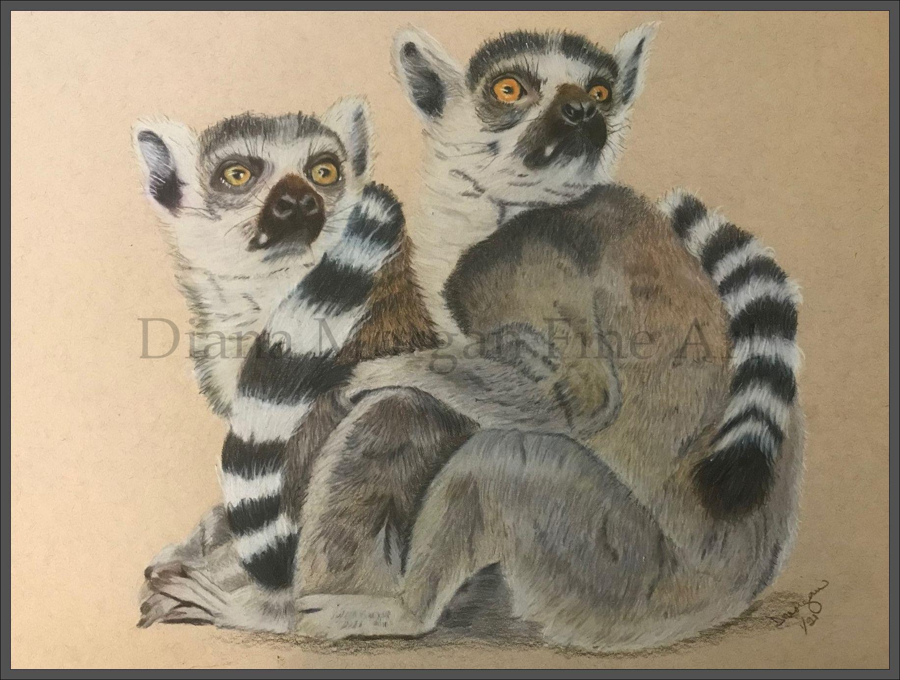 Lemur Twins